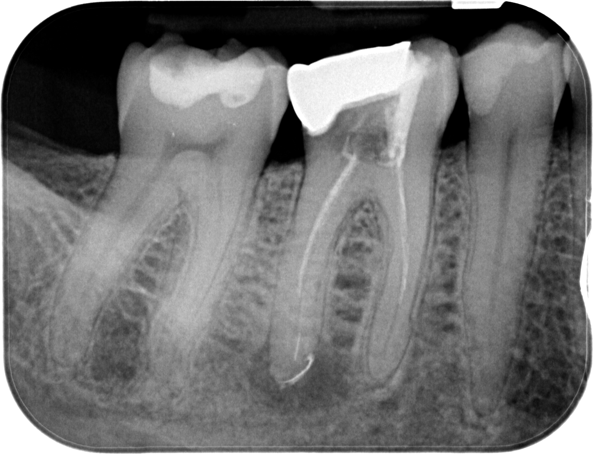 WD46-X-20190605-125625-XICA+JGWEKJ7-4