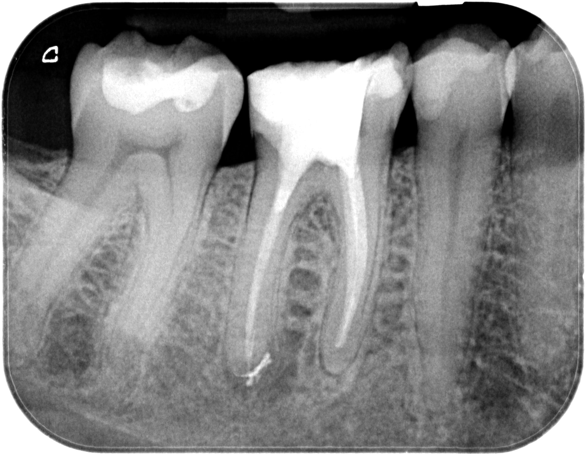 WD46-X-20200302-161044-XNIJ4GRTSYP8-4