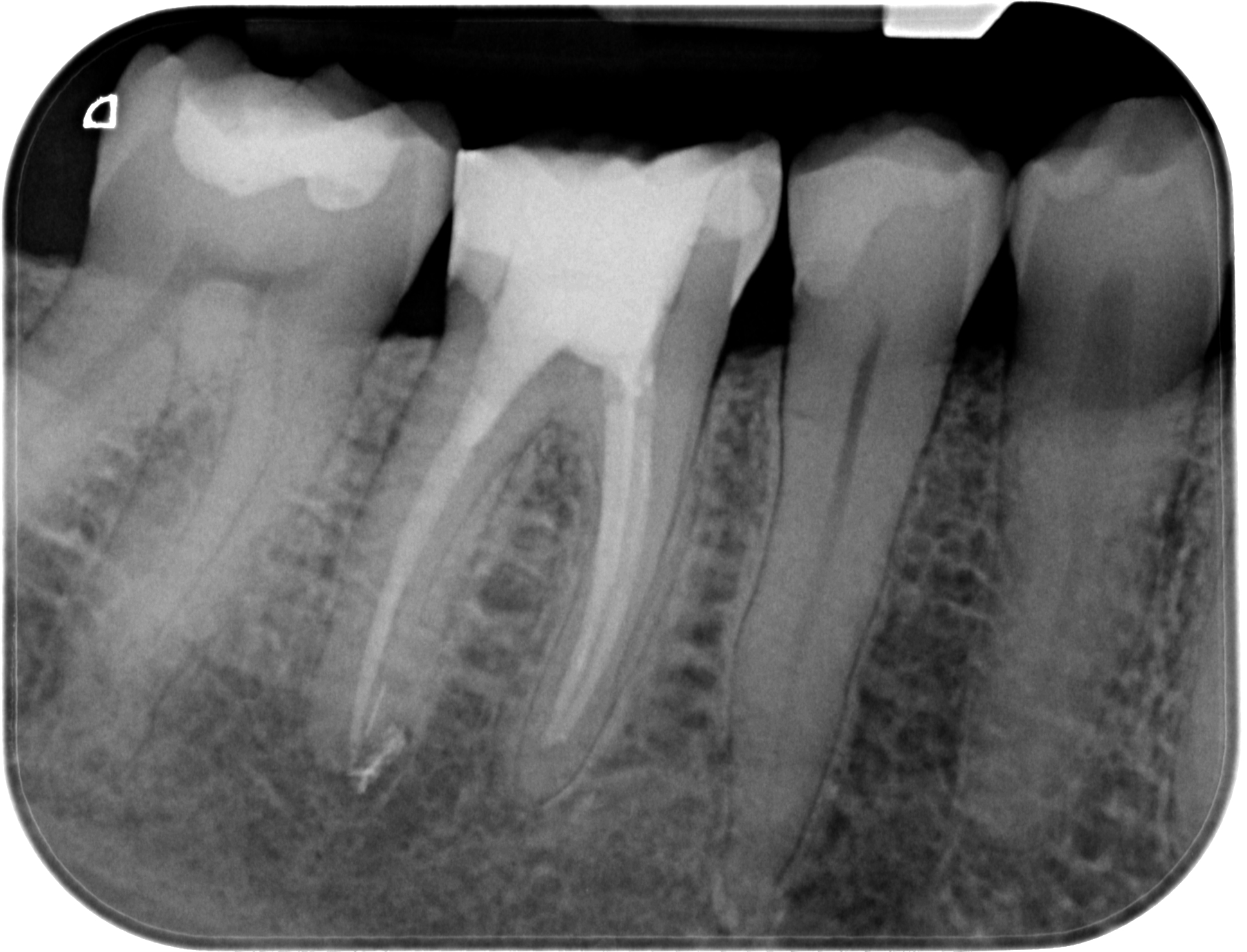 WD46-X-20210325-110523-X0JQAQG2V7C-3